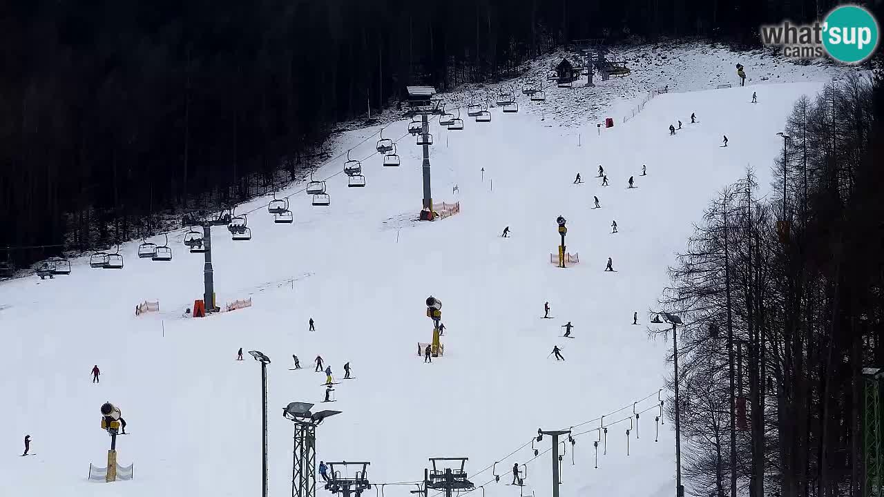 Webcam Kranjska Gora SKI resort | Bech, Kekec, Mojca ski