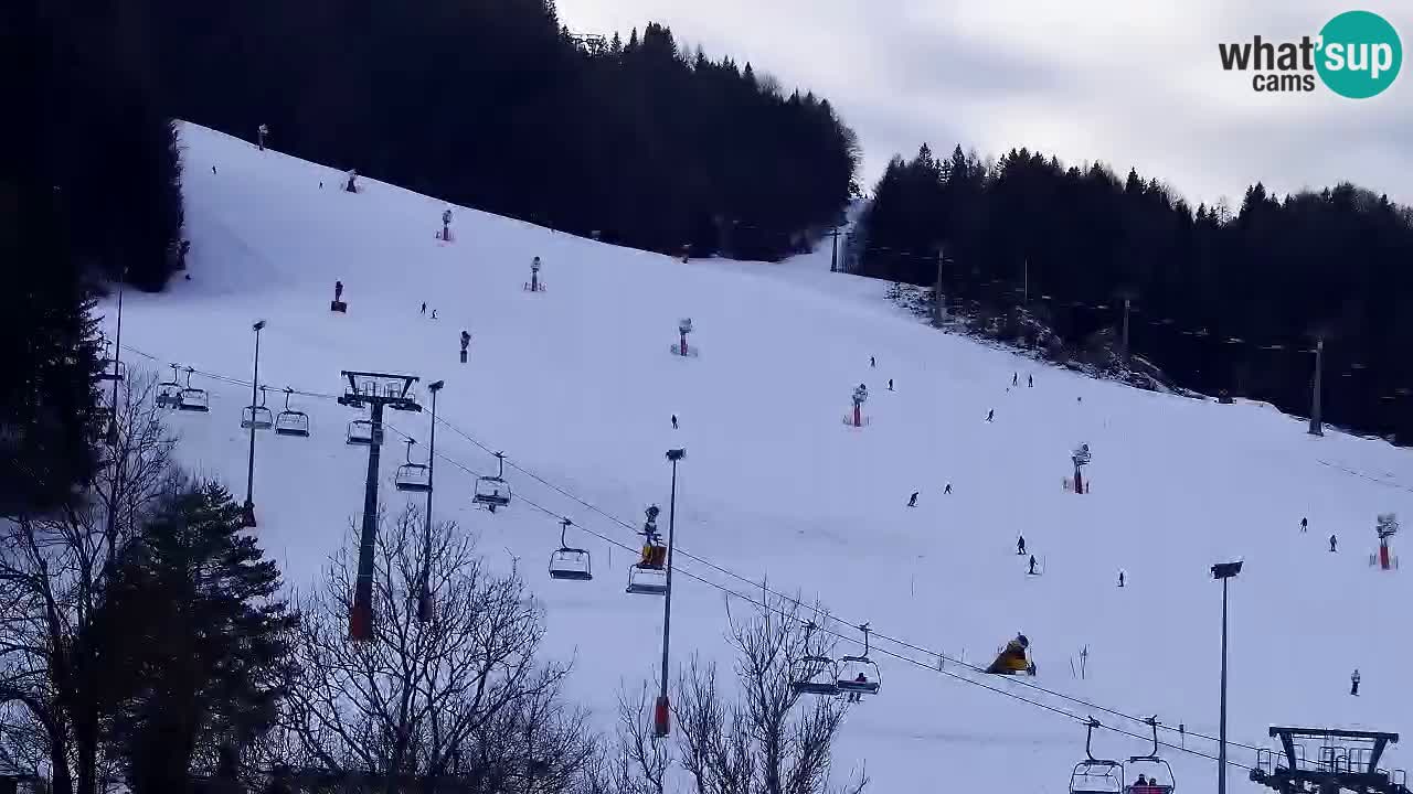 Webcam Kranjska Gora SKI resort | Bech, Kekec, Mojca ski