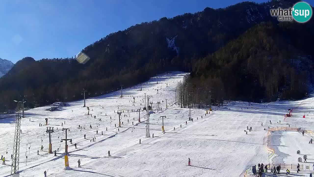 Webcam Kranjska Gora SKI – panoramica Piste centrali