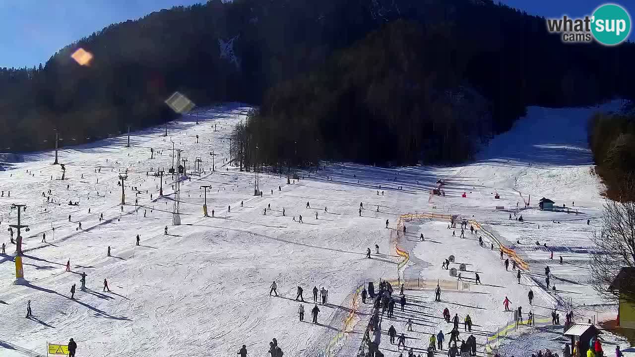 Web kamera Kranjska Gora Skijalište | Proge Mojca in Kekec