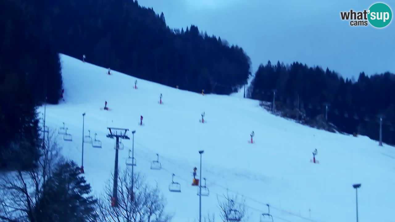 Webcam Kranjska Gora SKI – panoramica Piste centrali