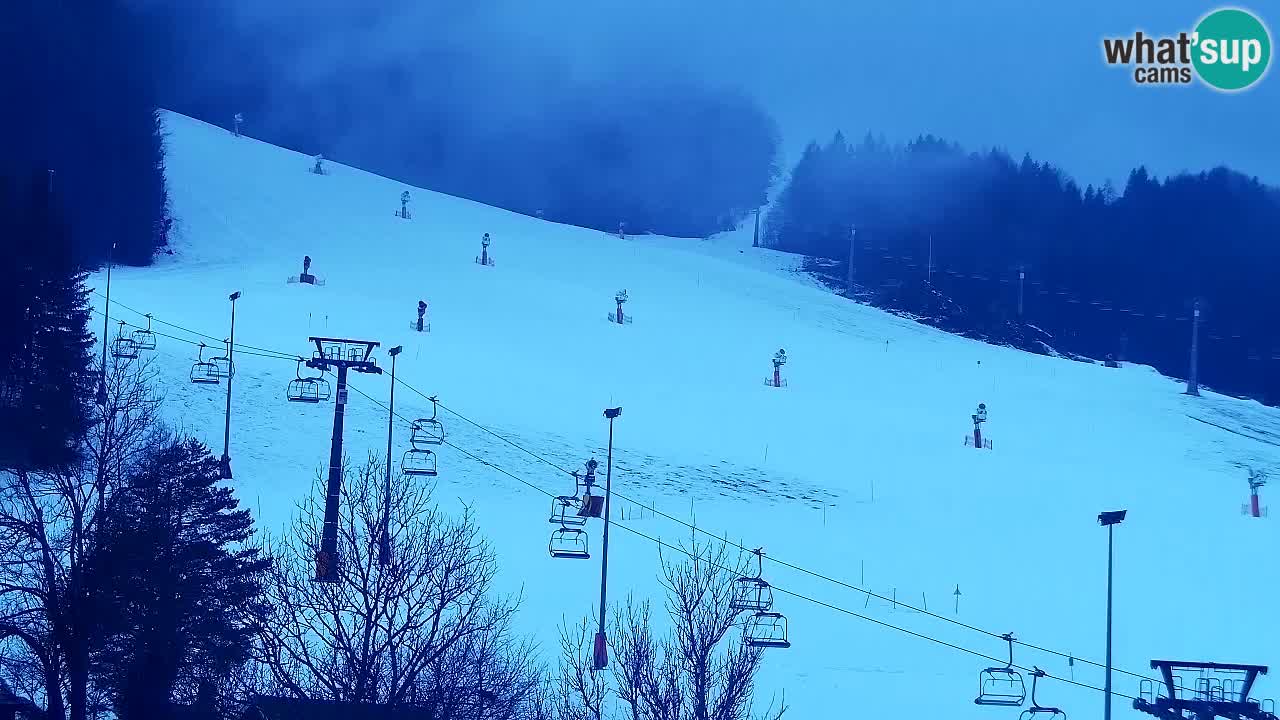 Webcam Kranjska Gora SKI – panoramica Piste centrali