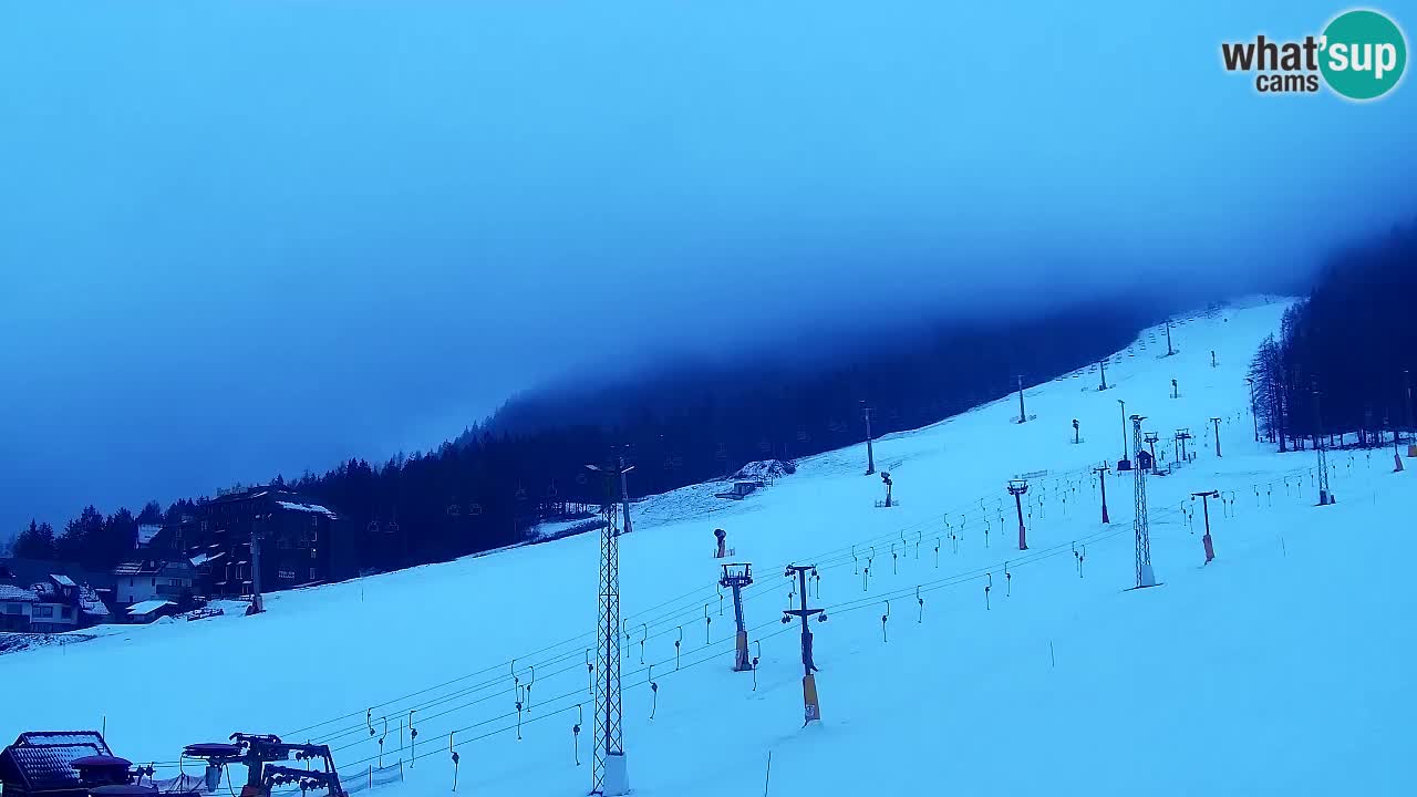 Webcam Kranjska Gora SKI resort | Bech, Kekec, Mojca ski