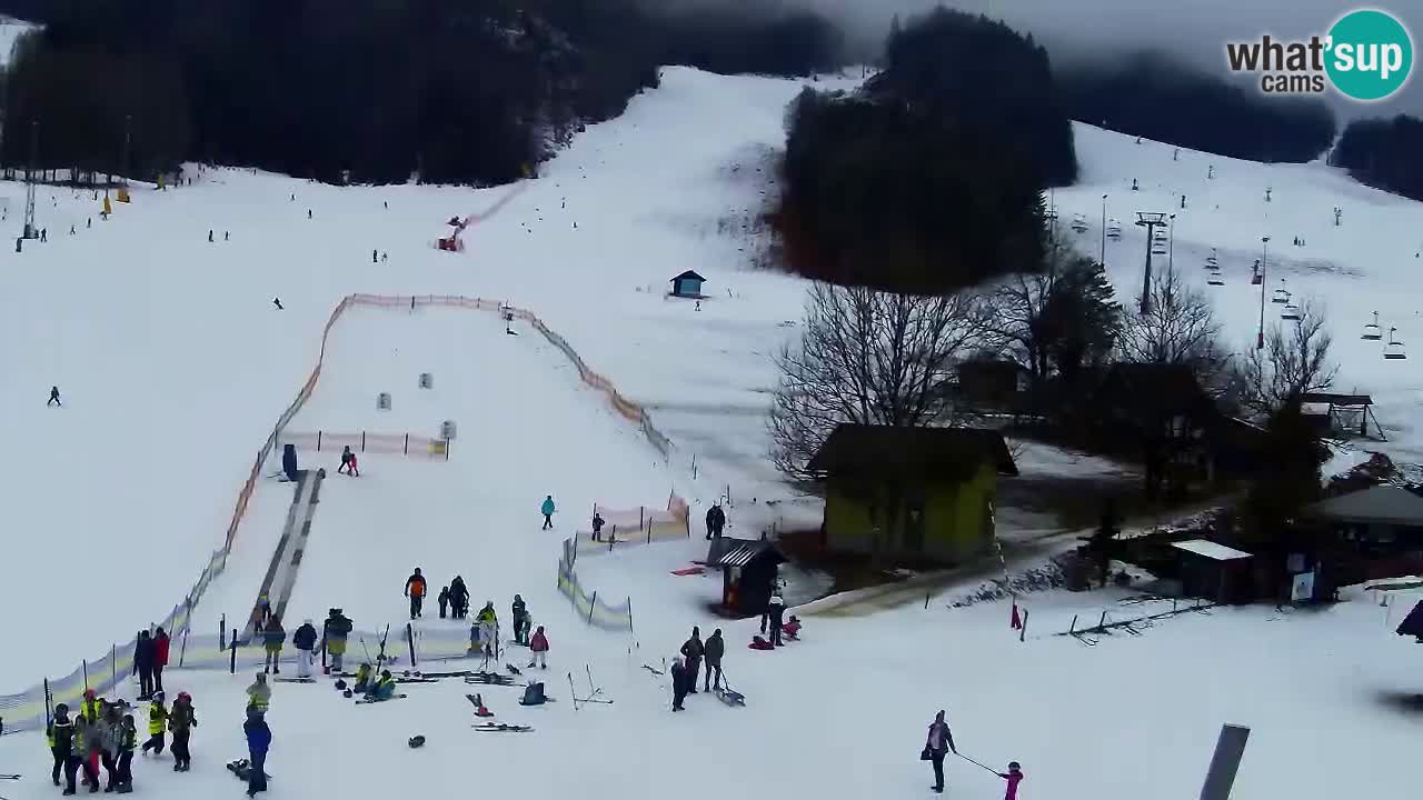 Webcam Kranjska Gora SKI resort | Bech, Kekec, Mojca ski