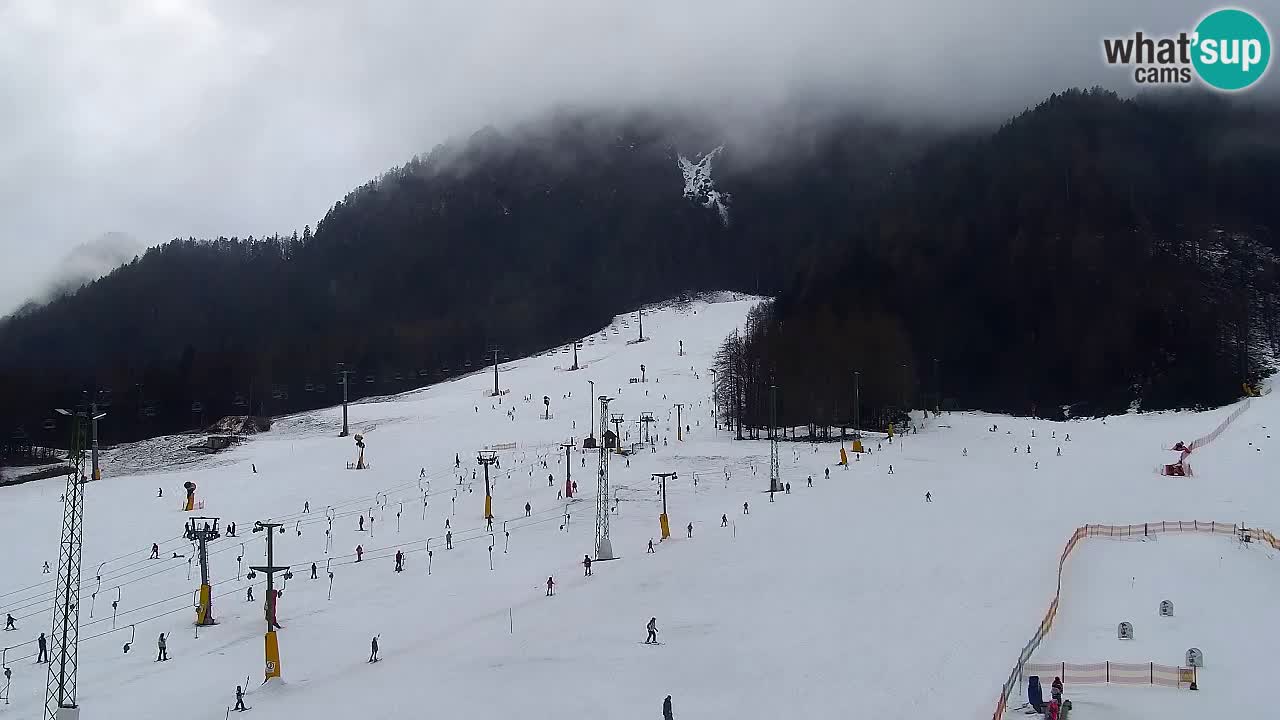 Webcam Skigebiet Kranjska Gora – Slowenien