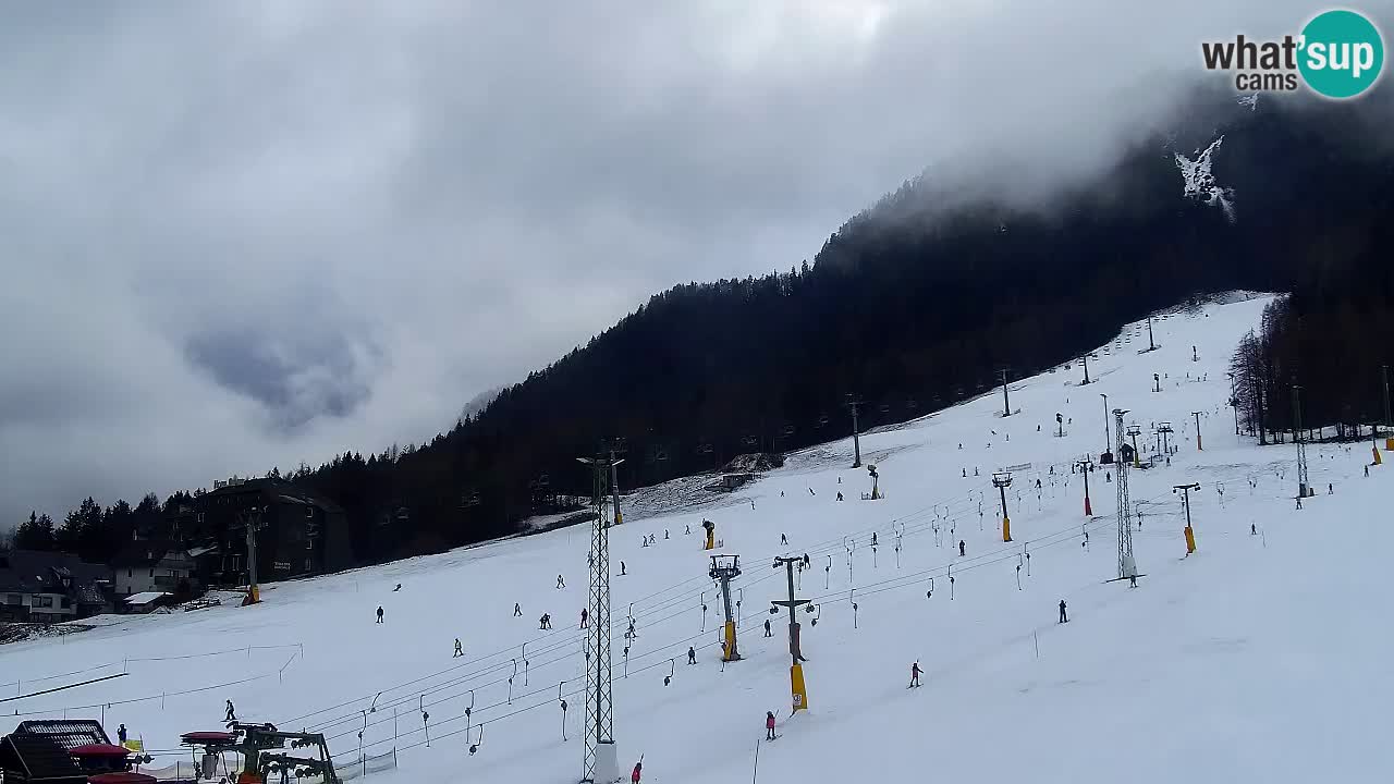 Webcam Kranjska Gora SKI – panoramica Piste centrali