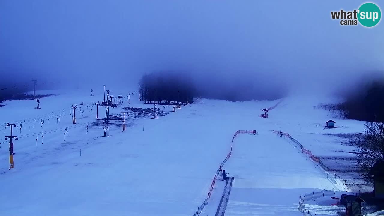 Webcam Kranjska Gora SKI – panoramica Piste centrali