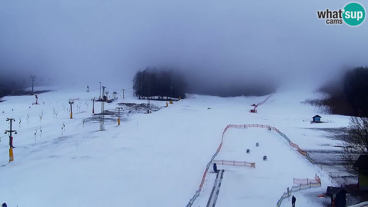 Webcam Kranjska Gora SKI – panoramica Piste centrali