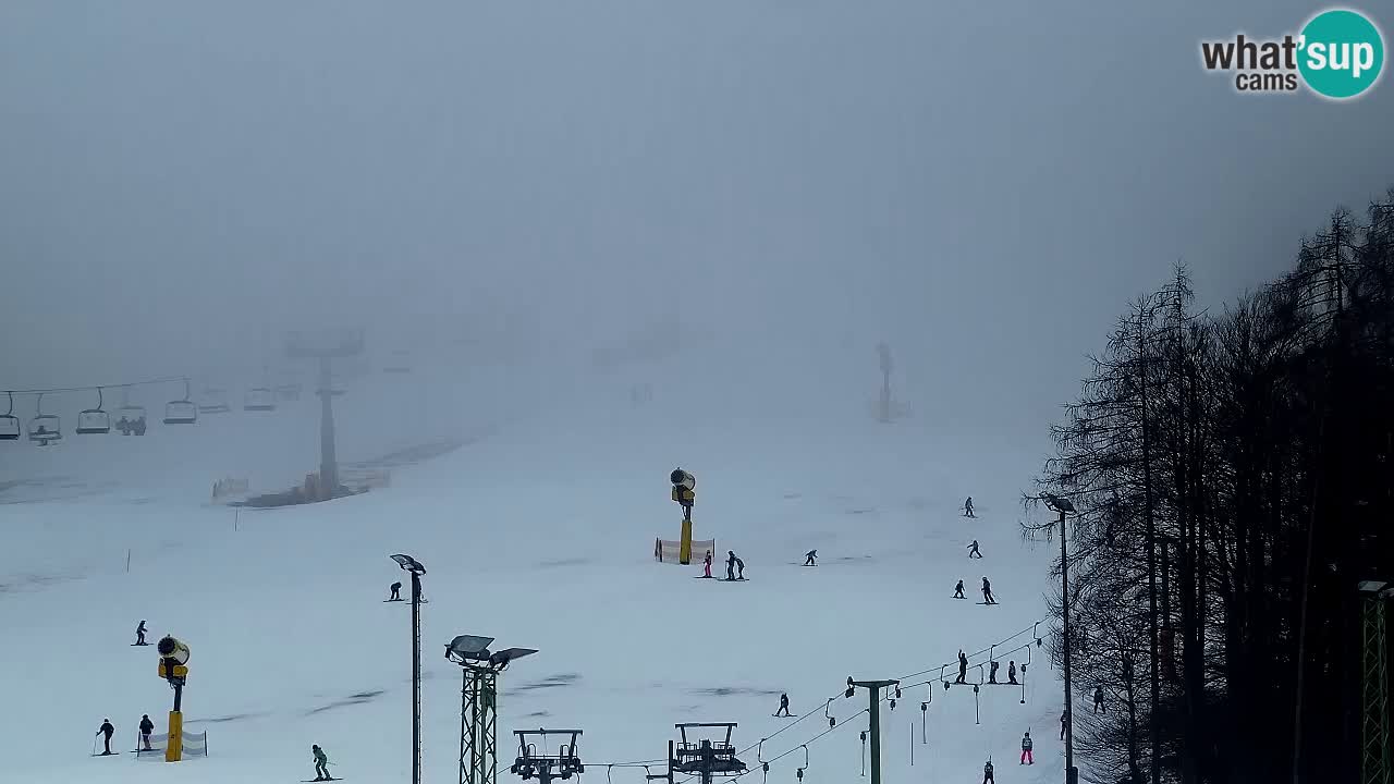 Webcam Kranjska Gora SKI resort | Bech, Kekec, Mojca ski