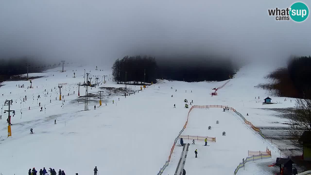 Webcam Kranjska Gora SKI – panoramica Piste centrali