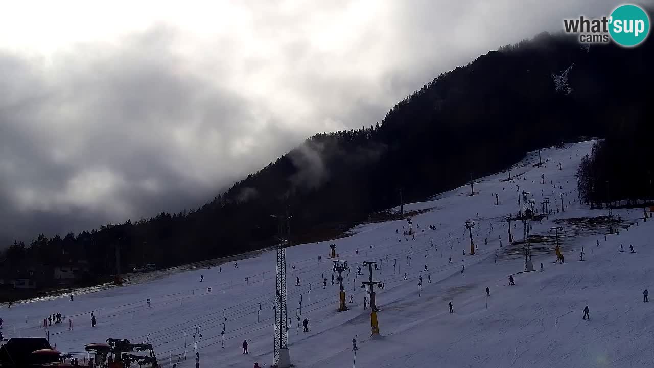 Webcam Kranjska Gora SKI resort | Bech, Kekec, Mojca ski