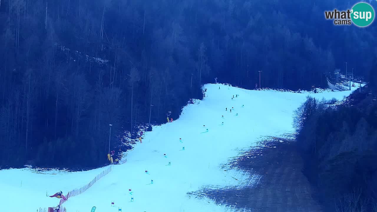 Webcam Station de ski Kranjska Gora – Slovénie