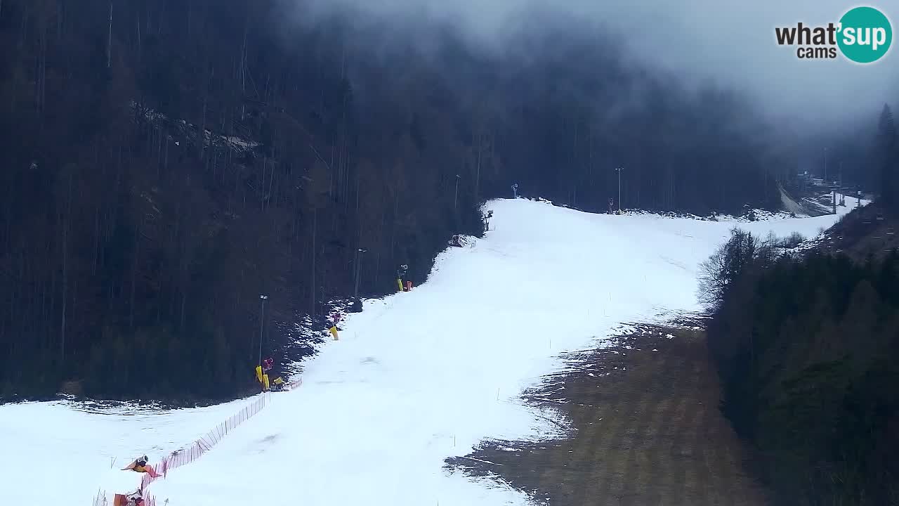 Kamera Kranjska Gora | Plaža in proge Kekec in Mojca