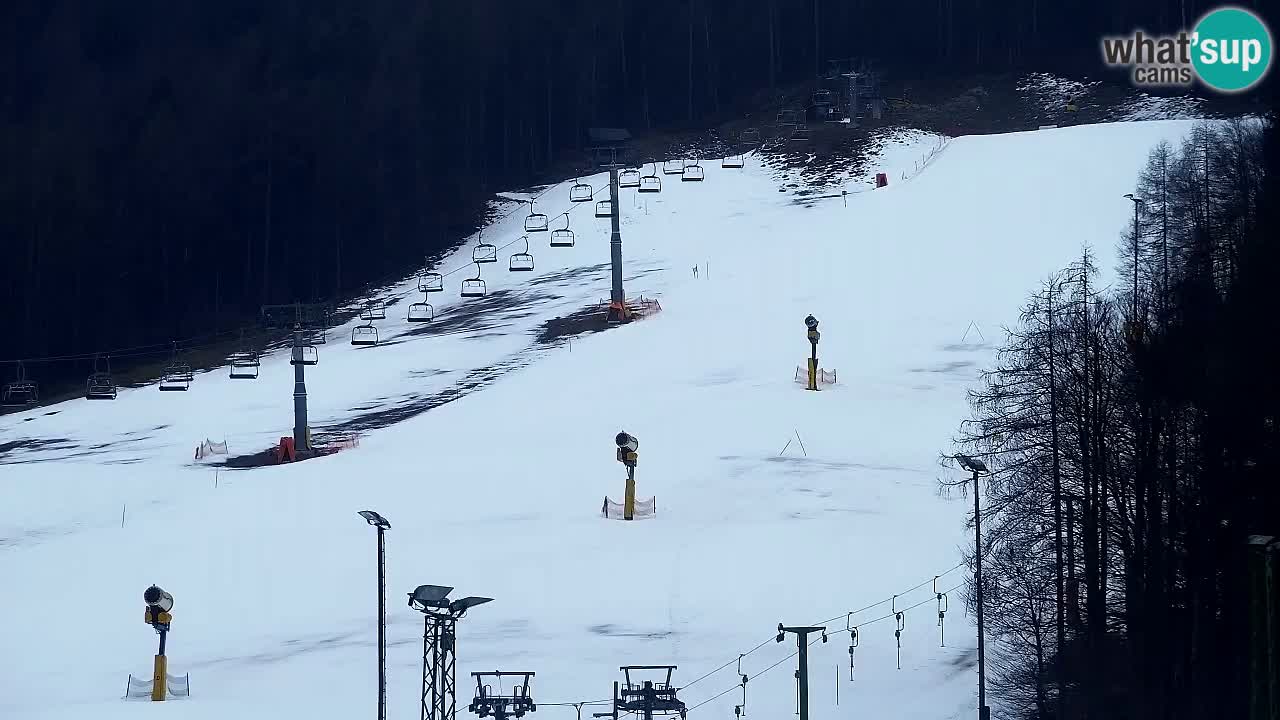 Webcam Kranjska Gora SKI – panoramica Piste centrali