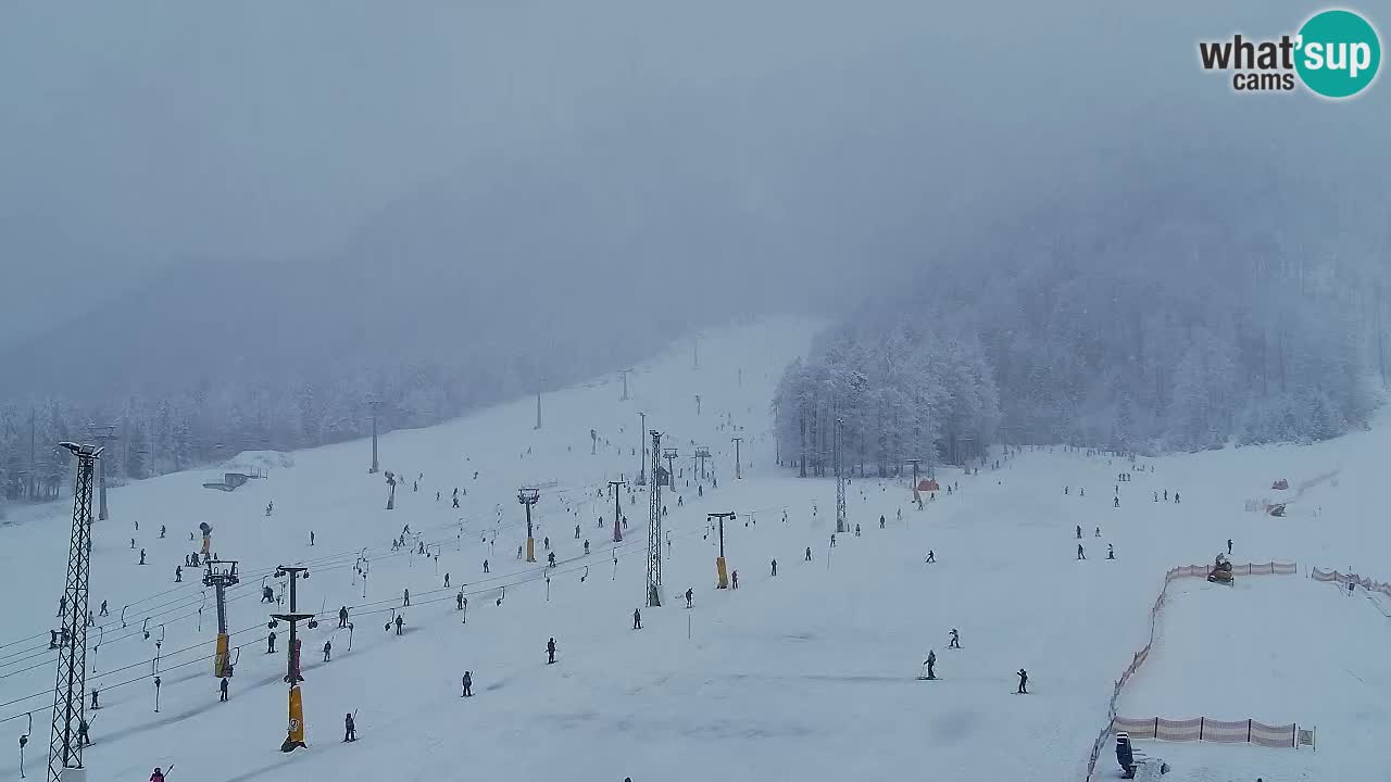 Web kamera Kranjska Gora Skijalište | Proge Mojca in Kekec