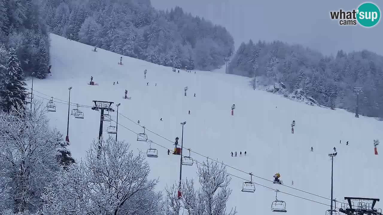 Webcam Kranjska Gora SKI resort | Bech, Kekec, Mojca ski