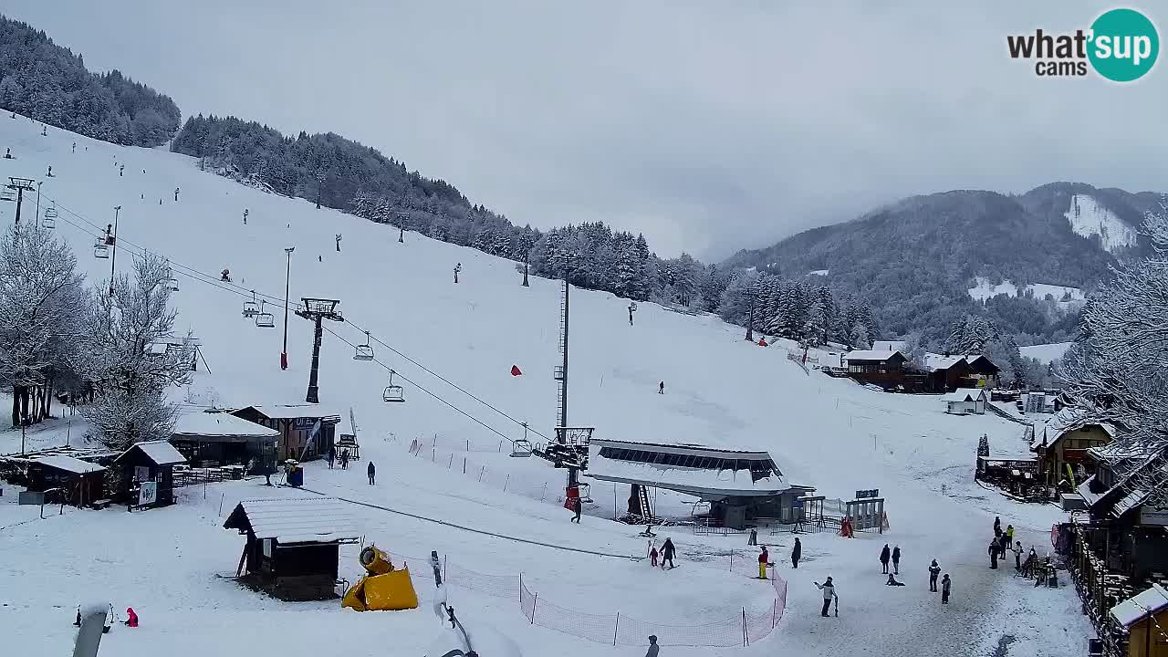 Webcam Station de ski Kranjska Gora – Slovénie