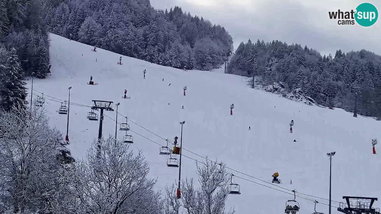 Webcam Estación de esquí Kranjska Gora – Eslovenia