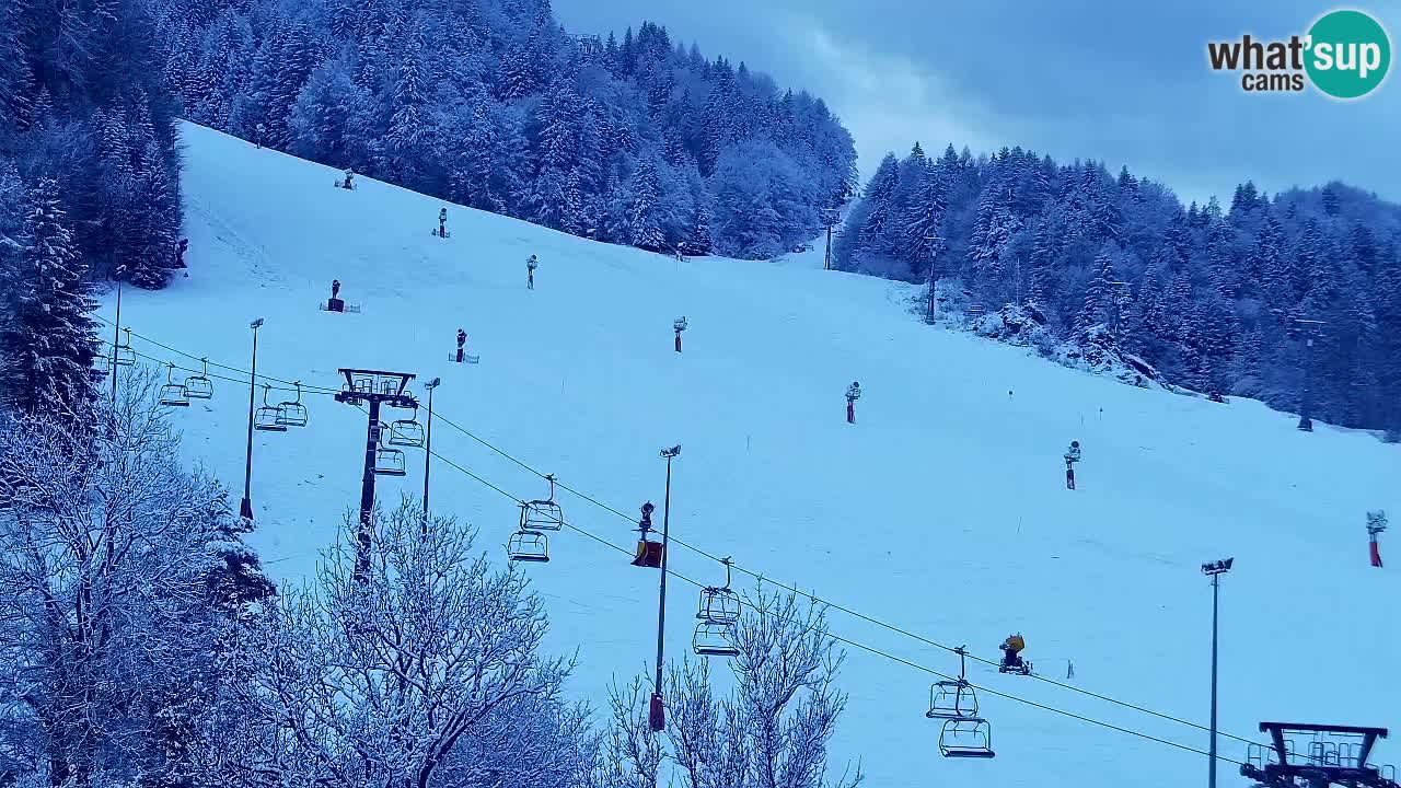 Web kamera Kranjska Gora Skijalište | Proge Mojca in Kekec