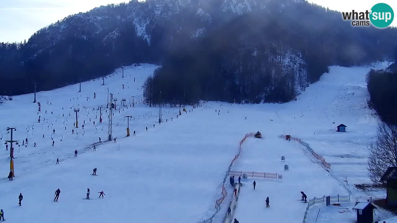 Web kamera Kranjska Gora Skijalište | Proge Mojca in Kekec