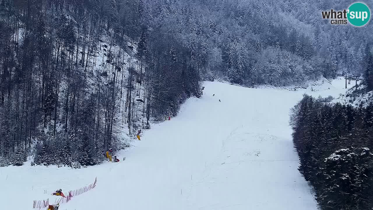 Web kamera Kranjska Gora Skijalište | Proge Mojca in Kekec