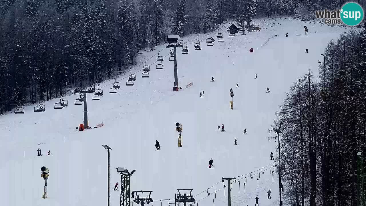 Webcam Kranjska Gora SKI resort | Bech, Kekec, Mojca ski