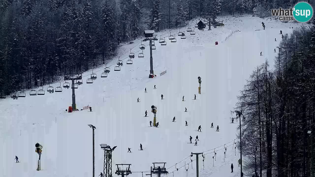 Webcam Kranjska Gora SKI – panoramica Piste centrali