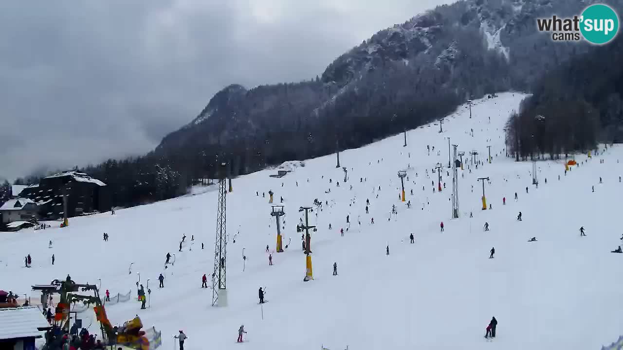 Webcam Kranjska Gora SKI resort | Bech, Kekec, Mojca ski