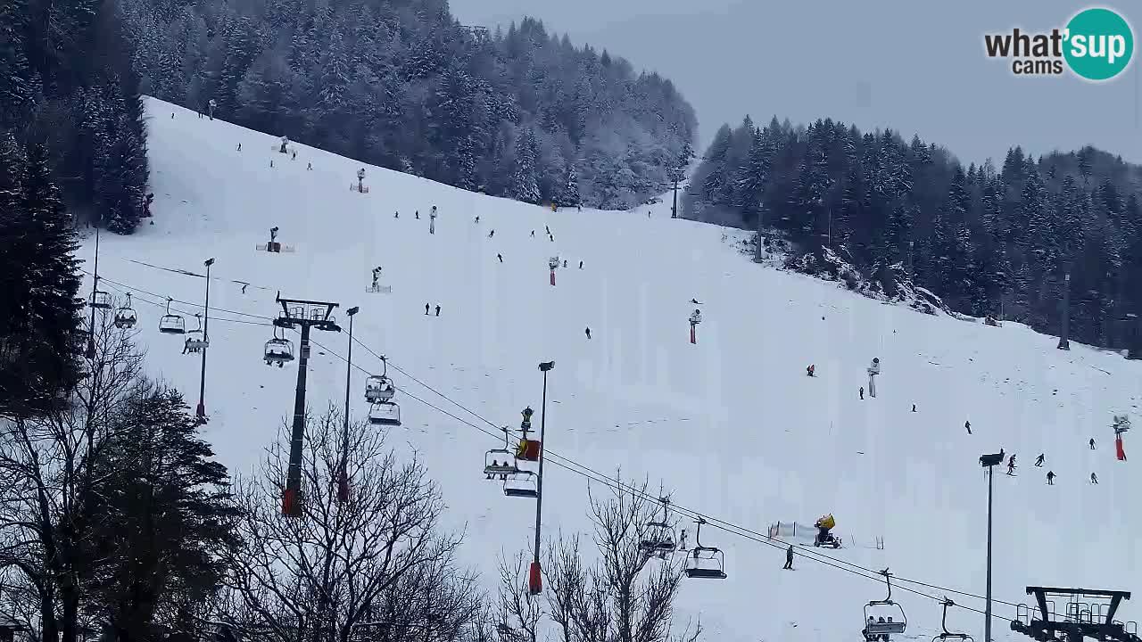 Webcam Kranjska Gora SKI – panoramica Piste centrali