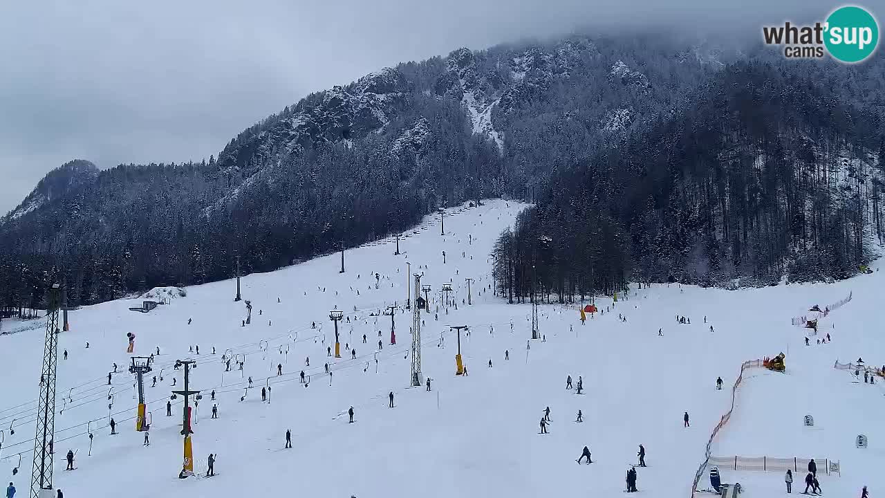 Webcam Station de ski Kranjska Gora – Slovénie