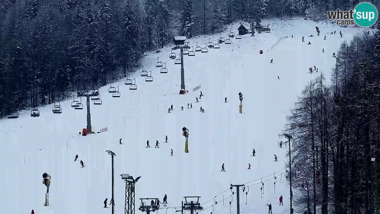 Webcam Station de ski Kranjska Gora – Slovénie