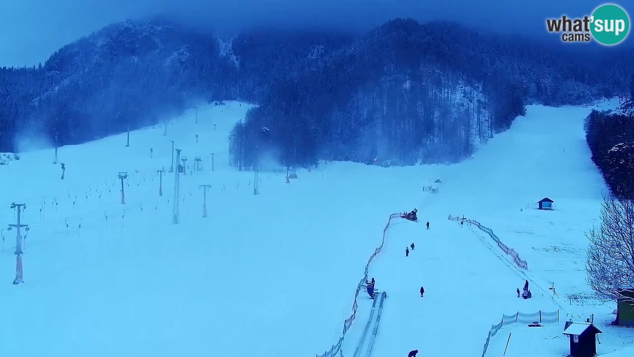 Webcam Kranjska Gora SKI – panoramica Piste centrali