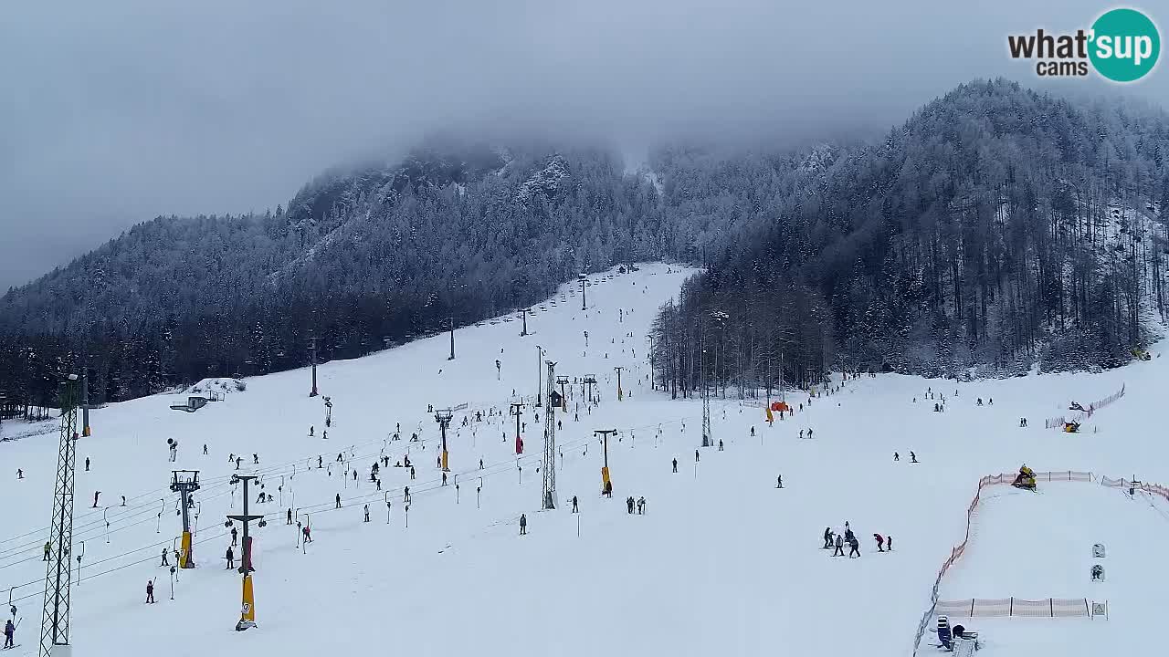 Kamera Kranjska Gora | Plaža in proge Kekec in Mojca