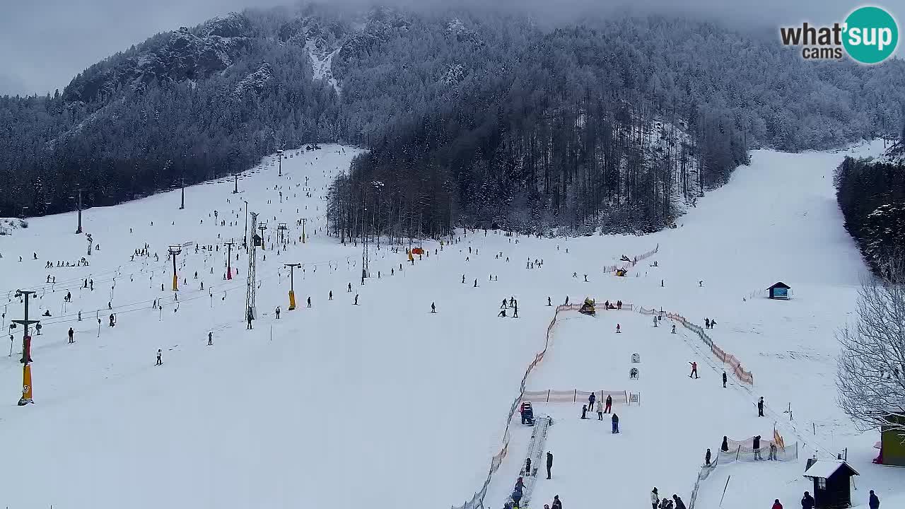 Webcam Kranjska Gora SKI – panoramica Piste centrali