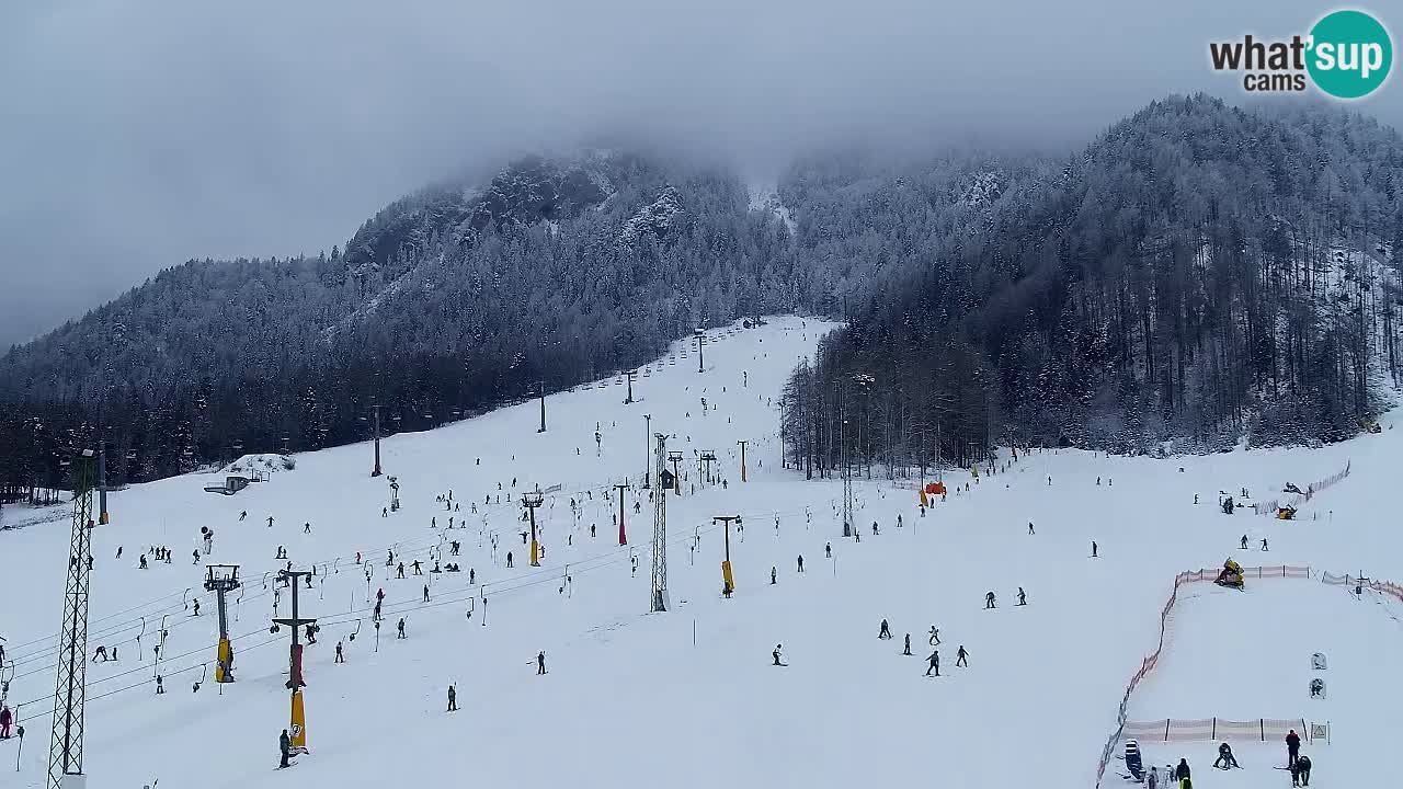 Webcam Kranjska Gora SKI – panoramica Piste centrali