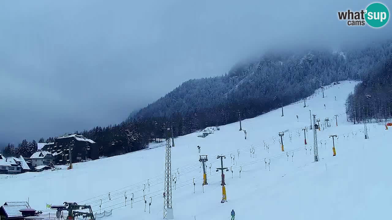 Webcam Kranjska Gora SKI – panoramica Piste centrali