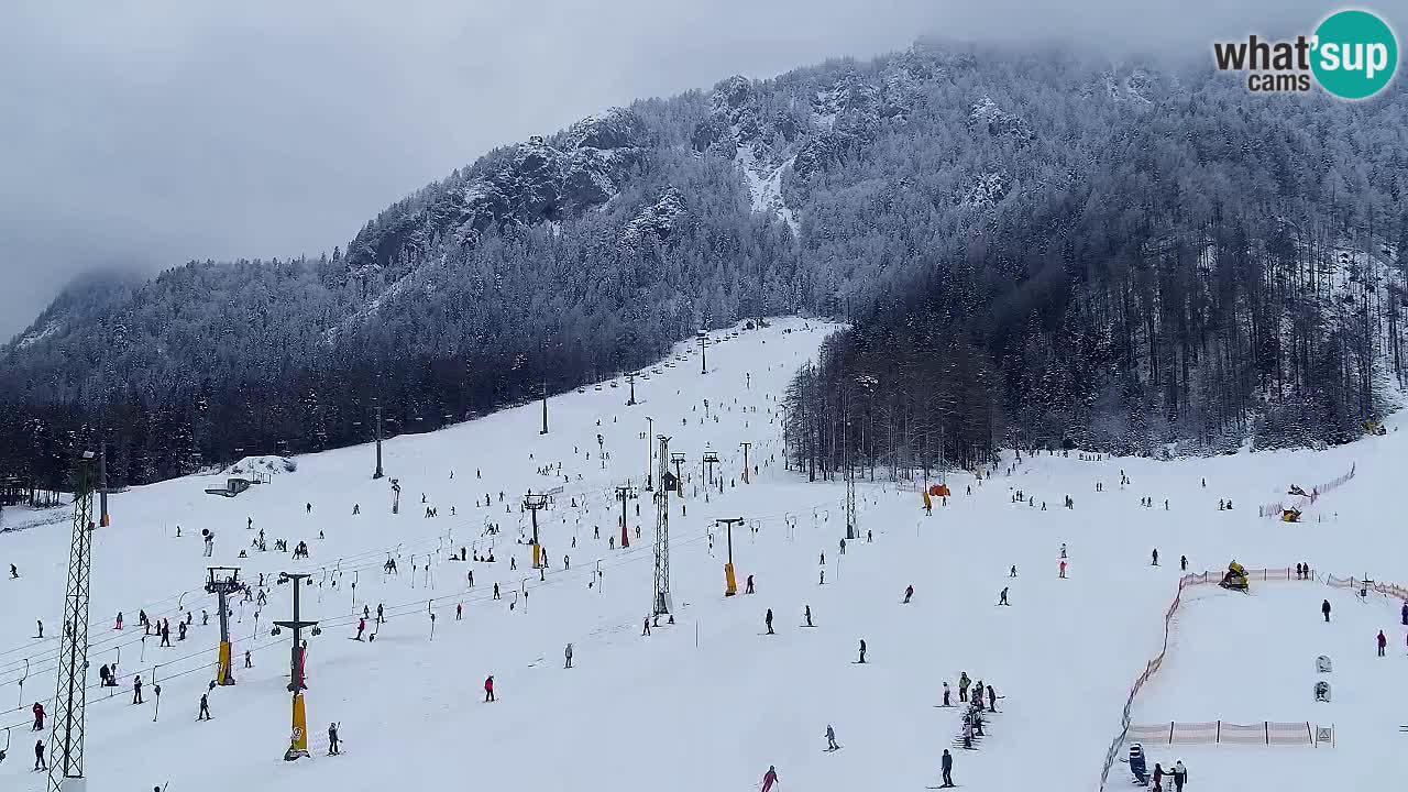 Web kamera Kranjska Gora Skijalište | Proge Mojca in Kekec