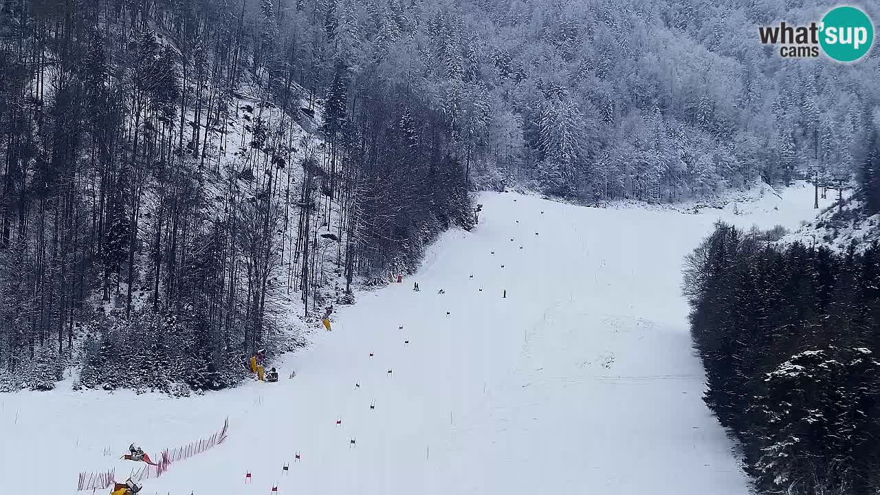 Webcam Kranjska Gora SKI resort | Bech, Kekec, Mojca ski