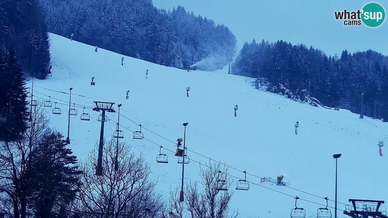 Webcam Skigebiet Kranjska Gora – Slowenien