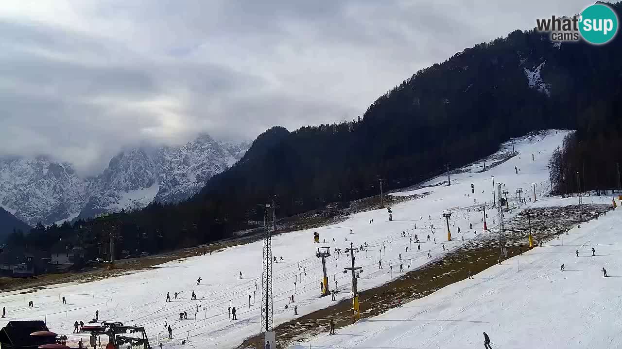 Webcam Kranjska Gora SKI – panoramica Piste centrali