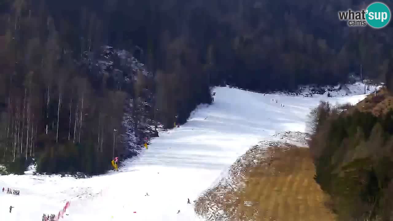 Webcam Kranjska Gora SKI – panoramica Piste centrali