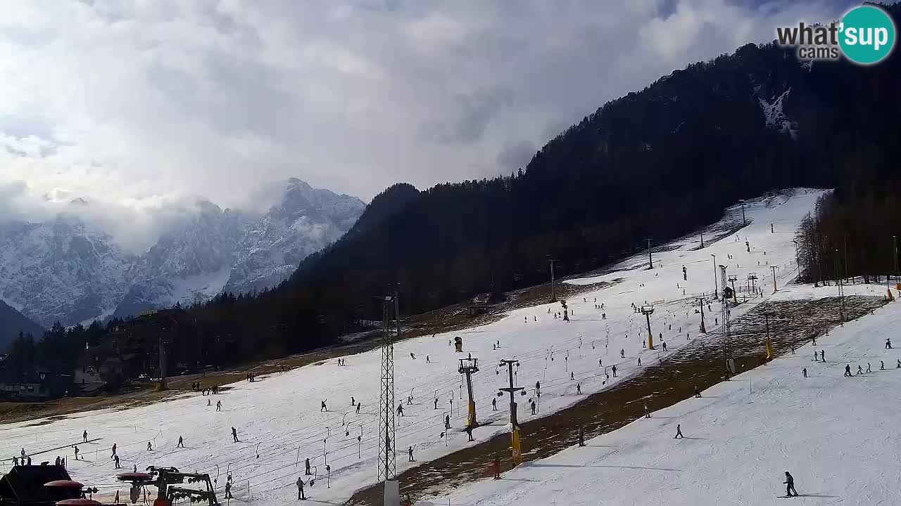 Webcam Kranjska Gora SKI – panoramica Piste centrali