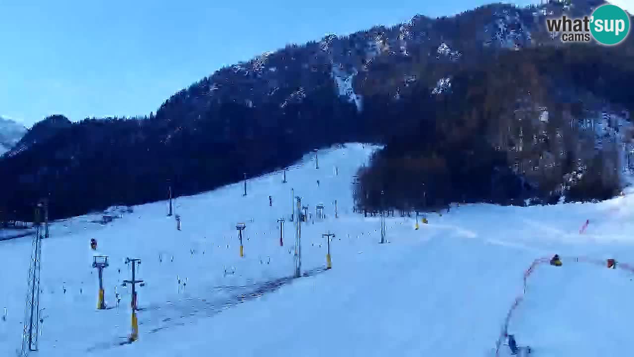 Webcam Kranjska Gora SKI – panoramica Piste centrali