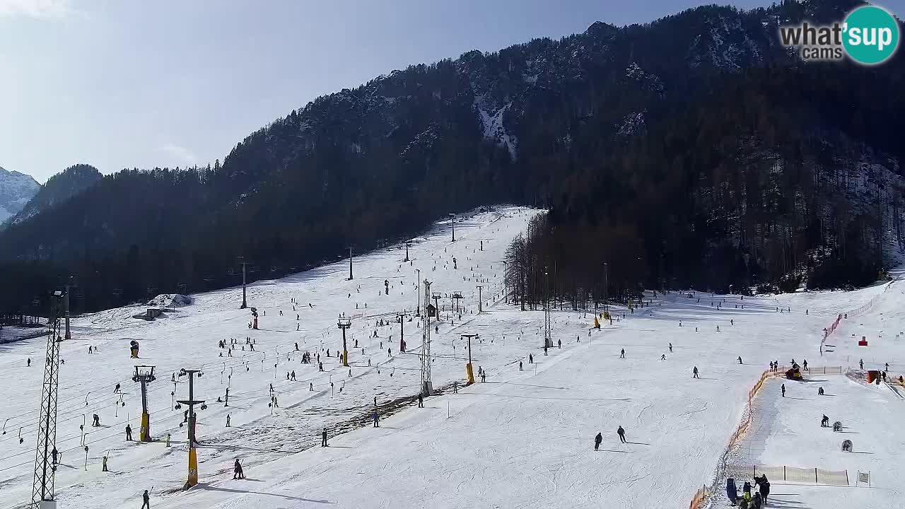 Webcam Kranjska Gora SKI resort | Bech, Kekec, Mojca ski