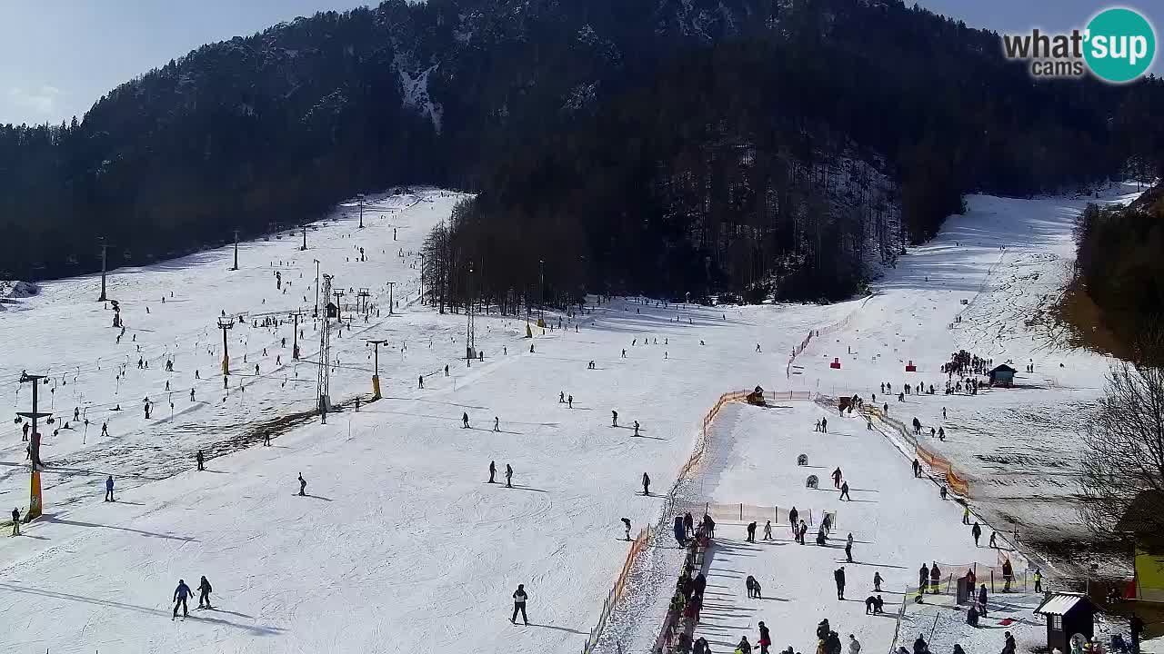 Webcam Kranjska Gora SKI resort | Bech, Kekec, Mojca ski