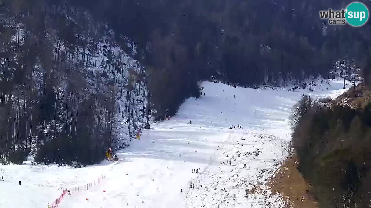 Webcam Kranjska Gora SKI – panoramica Piste centrali