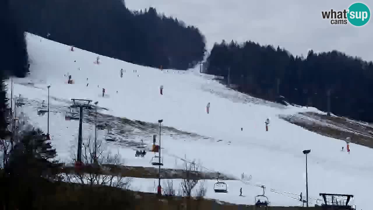 Webcam Kranjska Gora SKI resort | Bech, Kekec, Mojca ski