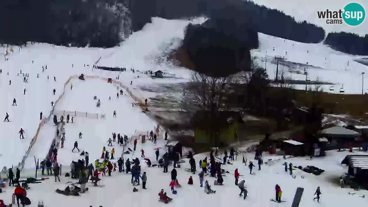 Webcam Station de ski Kranjska Gora – Slovénie