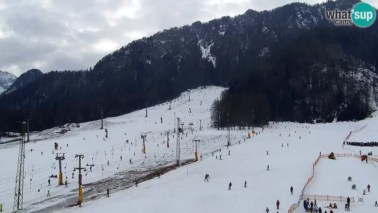 Webcam Kranjska Gora SKI – panoramica Piste centrali