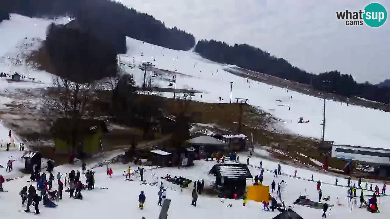 Webcam Kranjska Gora SKI resort | Bech, Kekec, Mojca ski